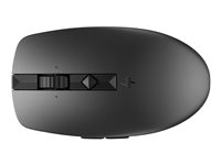 HP 710 - Souris - rechargeable - 7 boutons - sans fil - 2.4 GHz, Bluetooth 5.3 - récepteur sans fil USB - noir 6E6F2AA#ABB