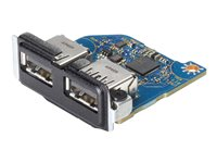 HP Flex IO V2 Card - 2 x port USB 3.1 Gen1 - pour EliteDesk 800 G6, 805 G6; ProDesk 400 G6 (mini desktop), 400 G7, 405 G6, 600 G6; Workstation Z1 G6 Entry 13L58AA